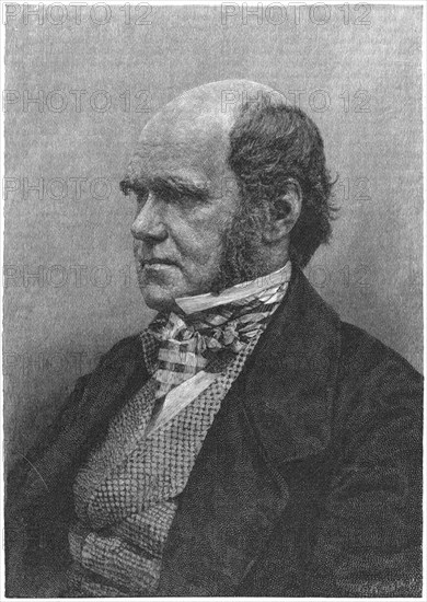 Charles Darwin, English naturalist, 1884. Artist: Anon