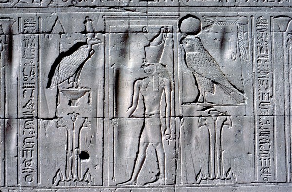 Relief of Horus (falcon-headed god), Temple of Horus, Edfu, Egypt, c251 BC - c246 BC. Artist: Unknown