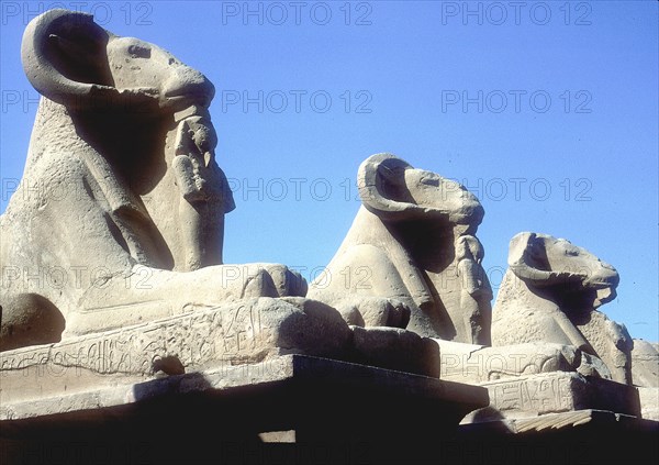 Ram-headed sphinxes, Temple of Amun, Karnak, Egypt. Artist: Unknown