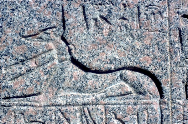 Detail from relief on granite sarcophagus of Anubis, Memphis, Egypt, Middle kingdom period. Artist: Unknown
