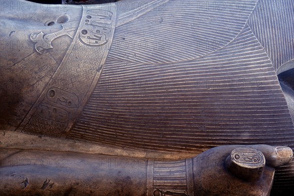 Detail from colossal statue of Rameses II, Memphis, Egypt, c13th century BC. Artist: Unknown