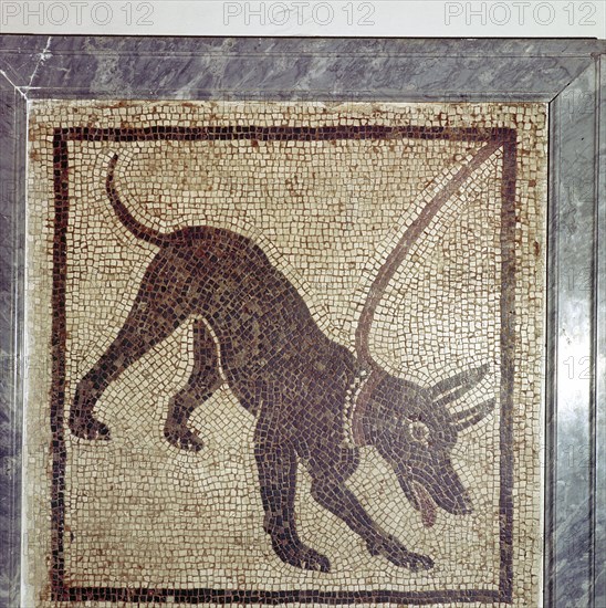 Roman mosaic of dog, Cave Canem, Pompeii, Italy. Creator: Unknown.
