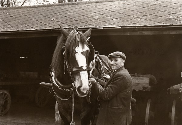 A Rowntree's working horse with driver,  York, Yorkshire,  1955. Artist: Unknown