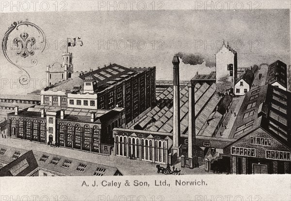 Post card of the Caley confectionery factory, Norwich, Norfolk, 1901. Artist: Unknown