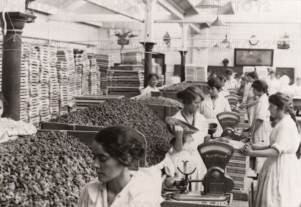 Weighing and packing Rowntree?s Fruit Pastilles, York, Yorkshire, 1923. Artist: Unknown