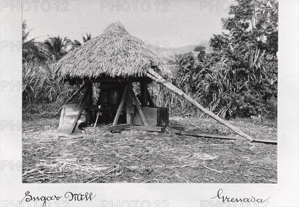 Thatched sugar mill, Grenada, 1897. Artist: Unknown