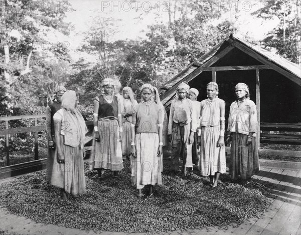 Group of women workers standing outside a cocoa drying house, 1897. Artist: Unknown