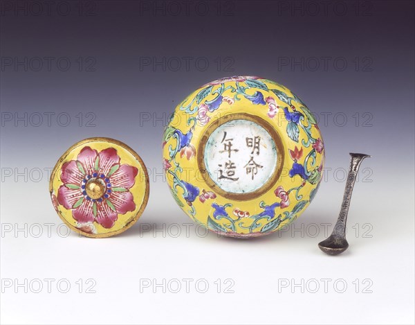 Canton enamel condiment jar and cover, Qing dynasty, China, c1820-c1840. Artist: Unknown