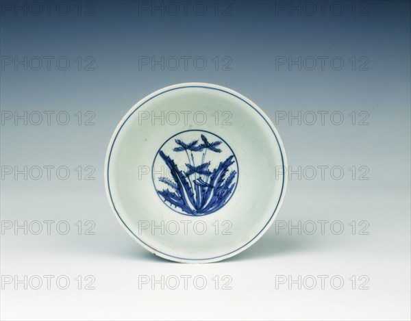 Blue and white bowl with cabbage-like flowers, Ming dynasty, China, 1550-1580. Artist: Unknown