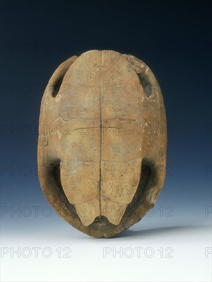 Petrified tortoise shell with oracle bone inscriptions, possibly Shang Dynasty, China, c1400 BC. Artist: Unknown