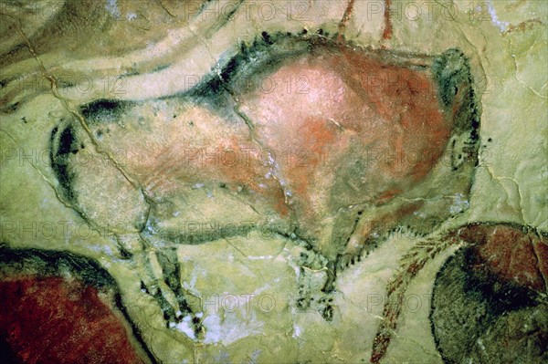 Paleolithic cave-painting of Bison from Spain. Artist: Unknown