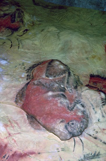 A paleolithic cave painting of an Auroch.