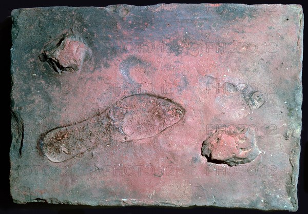 Roman tile with a man's footprint, 1st century. Artist: Unknown