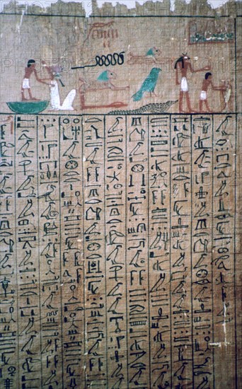 Egyptian hieroglyphs from a Book of the Dead. Artist: Unknown