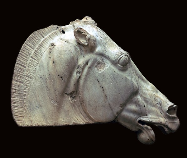 Horse of Selene from the Parthenon. Artist: Unknown