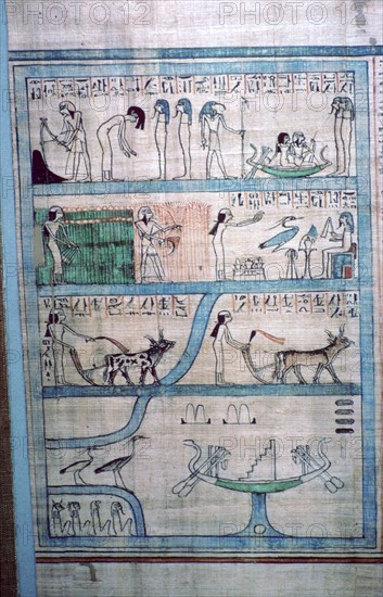 Egyptian image of farming in the Elysian Fields. Artist: Unknown