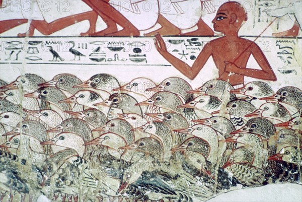 Counting the geese: fragment of wall painting from the tomb of Nebamun, Thebes, Egypt, c1350 BC. Artist: Unknown