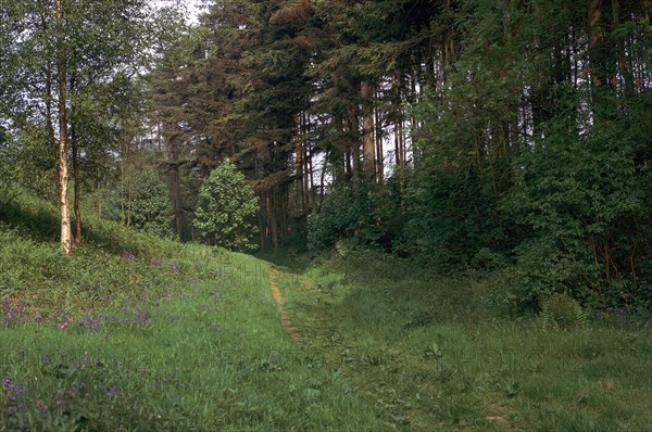 Track of a Roman road. Artist: Unknown