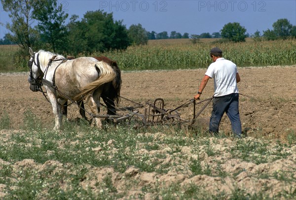 Horse ploughing in Hungary. Artist: CM Dixon Artist: Unknown