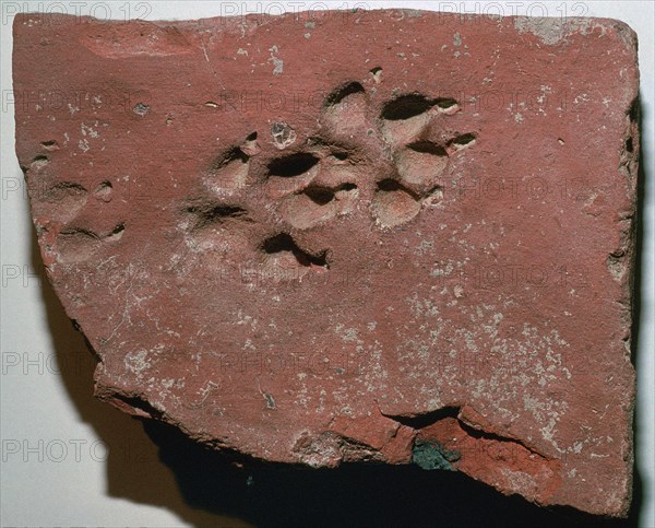 Roman tile with a dog's footprint, 3rd century. Artist: Unknown
