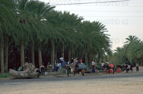 Collecting water in the evening in an oasis in the Sahara. Artist: Unknown