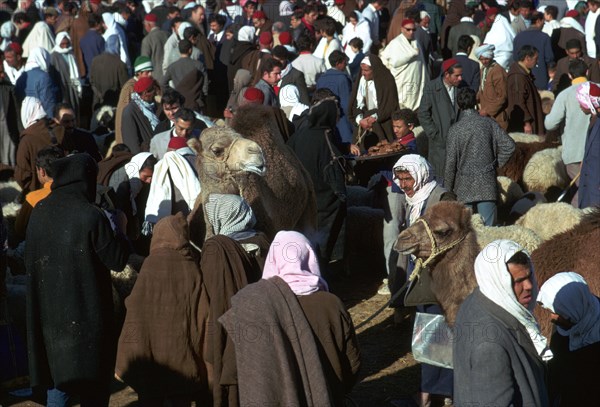 Camel market in Sousse, Tunisia. Artist: Unknown