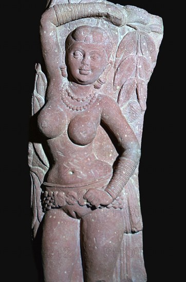 A yakshi (tree-goddess) from a Jain Stupa, 2nd century. Artist: Unknown