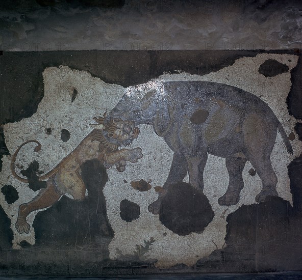 Mosaic of animal combat at the Great Palace in Istanbul, 6th century. Artist: Unknown