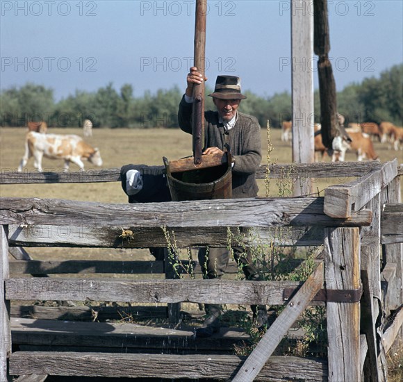 Raising water for cattle from a well in Hungary. Artist: CM Dixon Artist: Unknown