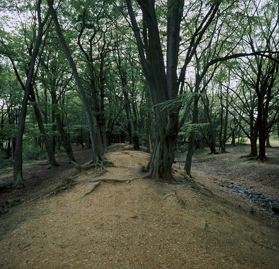 Ambersbury Banks Iron Age fort, 8th century BC. Artist: Unknown