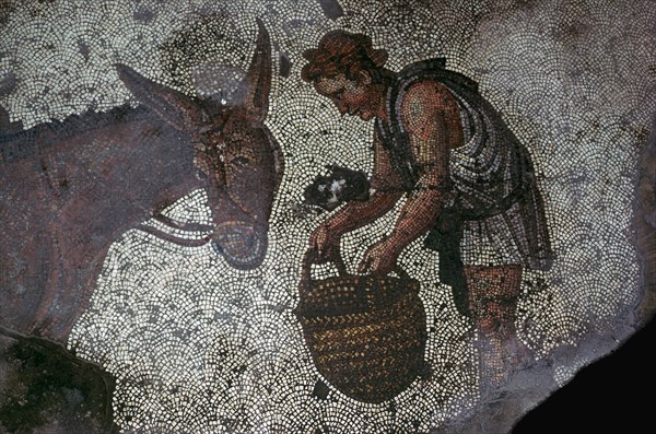 Detail of a floor mosaic in the Great Palace in Istanbul, 6th century. Artist: Unknown