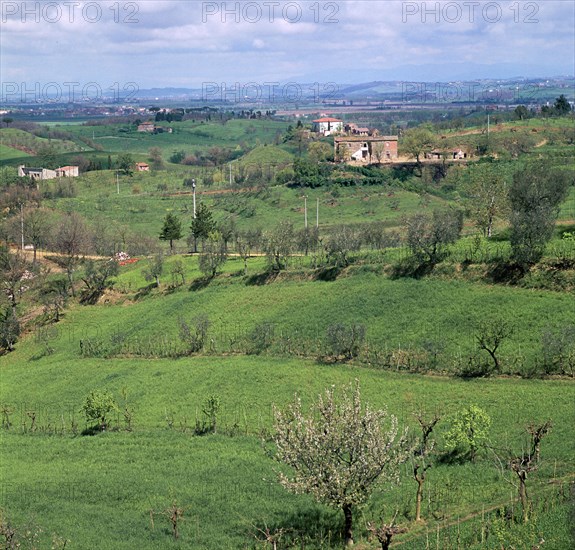 Central Italy near Chiusi. Artist: Unknown