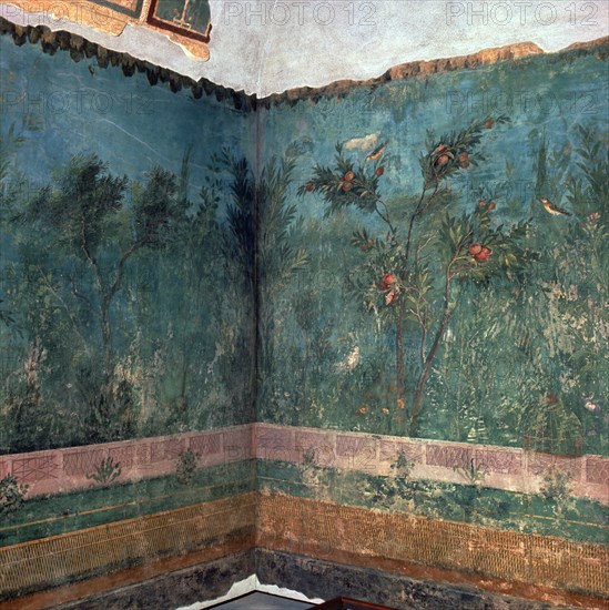 Painted room from Livia's villa, 1st century BC. Artist: Unknown