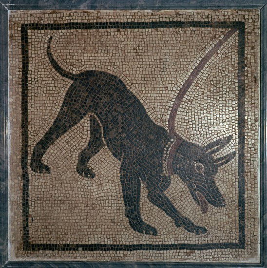 Roman mosaic of a dog, 1st century. Creator: Unknown.