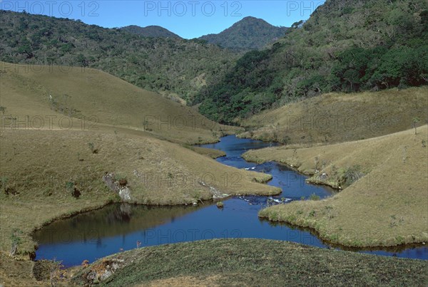 Horton plains grassland and forest. Artist: CM Dixon Artist: Unknown