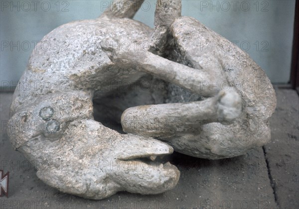 Cast of a chained dog from Pompeii, 1st century. Creator: Unknown.