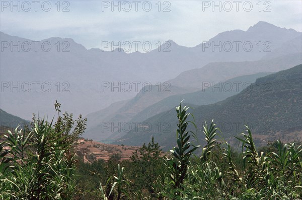 High Atlas mountains.