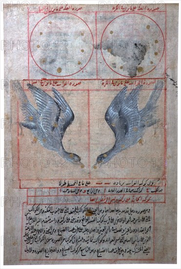 Illustration of the Constellations of the Southern Hemisphere, 16th century. Artist: Unknown