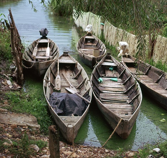 Local boats at an island on Lake Ioanina