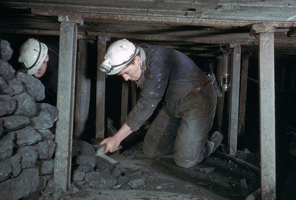 Loading coal onto a conveyer.