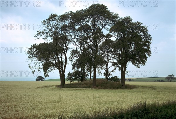 Round Barrow.