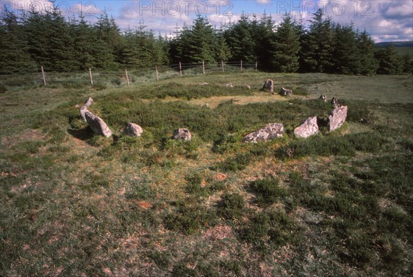 Stone Alignment, 20th century. Artist: CM Dixon.