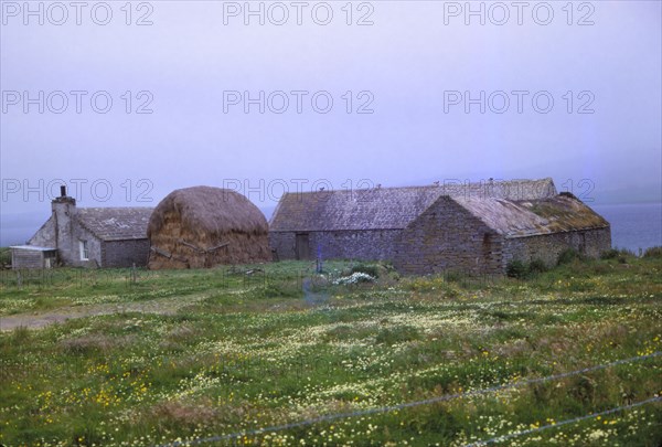 Farm near St. Magnus Church, Isle of Egilsay, Orkney, Scotland, 20th century. Artist: CM Dixon.