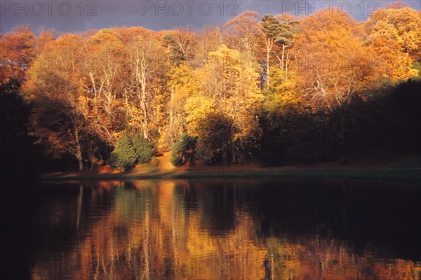 Robin Hoods Wood seen across a lake on the River Skell, North Yorkshire, 20th century.  Artist: CM Dixon.