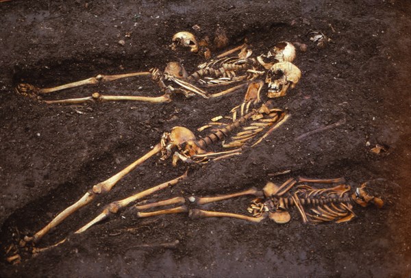 Medieval burial site, Ebor Brewery, York, 20th century.  Artist: CM Dixon.