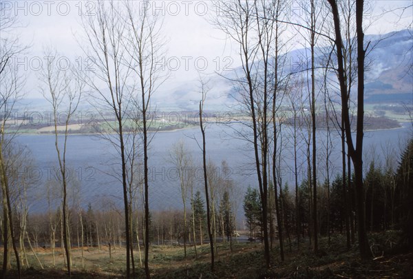 Bassenthwaite Lake from the West, Cumberland, England, 20th century. Artist: CM Dixon.