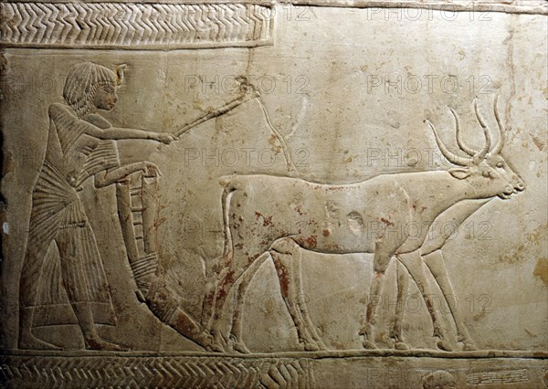 Ploughing from an Egyptian Stele, 18th Dynasty, 1332BC-1323 BC. Artist: Unknown.