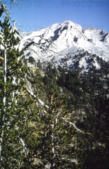 Mt Olympus, Greece, Eastern Slopes in September, showing tree-line, c20th century.  Artist: CM Dixon.