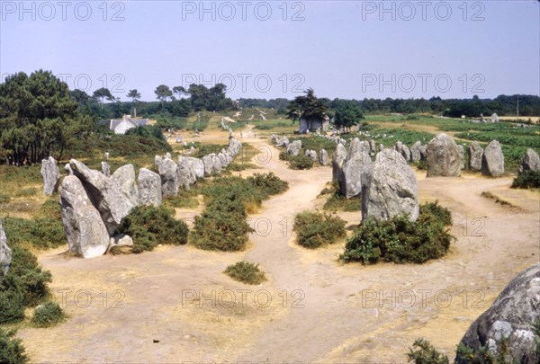 Carnac, Brittany Alignments at Kermario, c20th century. Artist: CM Dixon.