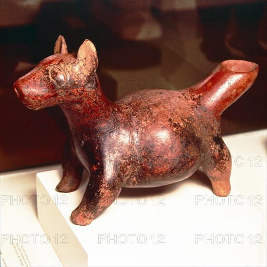 Pottery vessel of Ancient breed of Mexican dog, Colima Culture, Mexico, 300-900. Artist: Unknown.